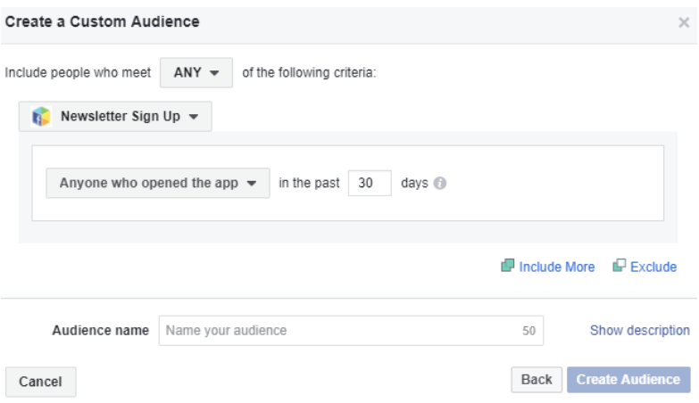 facebook custom audiences app activity